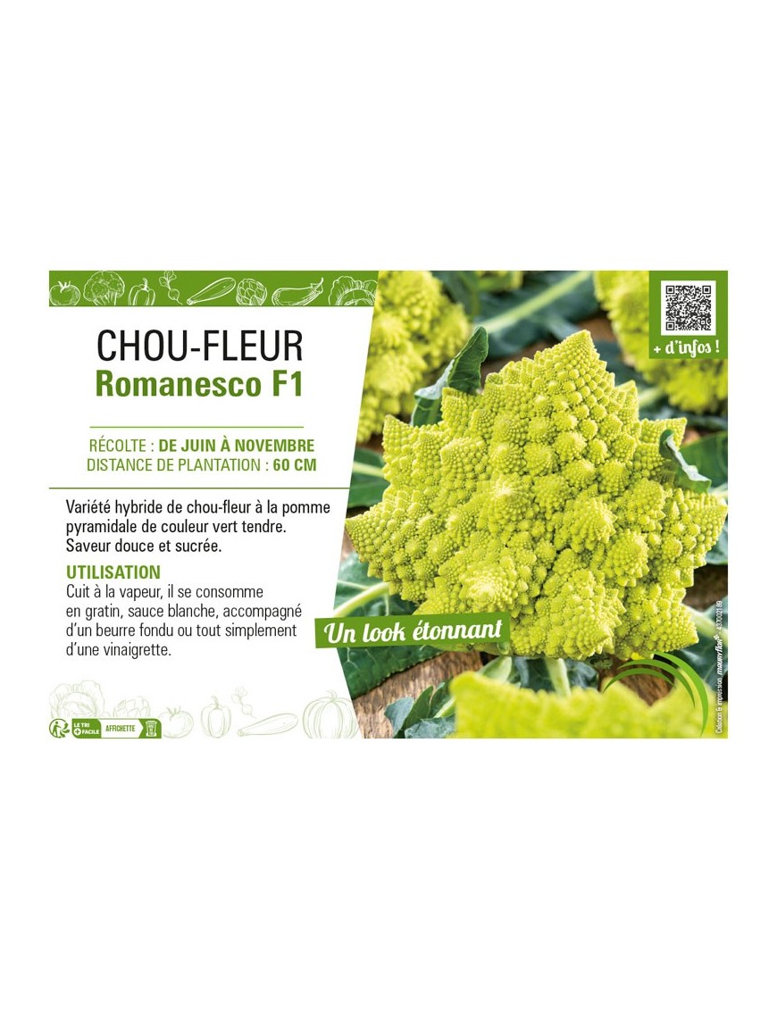 CHOU-FLEUR ROMANESCO F1