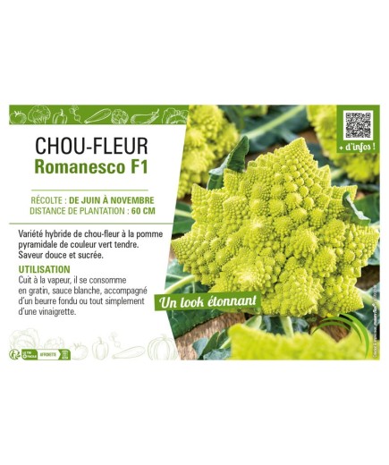 CHOU-FLEUR ROMANESCO F1