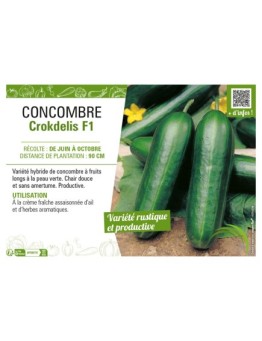 CONCOMBRE CROKDELIS F1