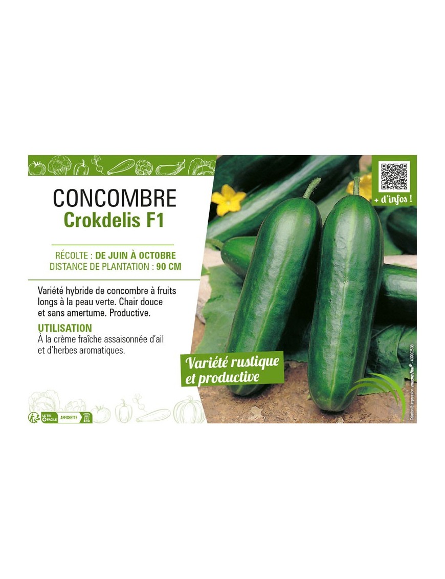 CONCOMBRE CROKDELIS F1