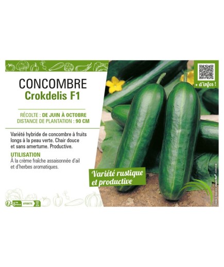 CONCOMBRE CROKDELIS F1
