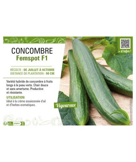 CONCOMBRE FEMSPOT F1