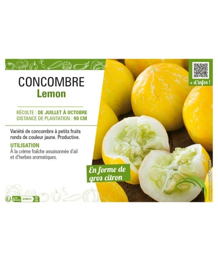 CONCOMBRE LEMON