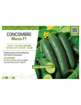 CONCOMBRE MURZA F1