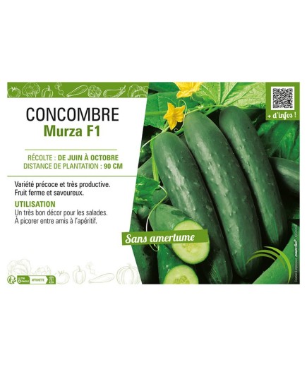 CONCOMBRE MURZA F1