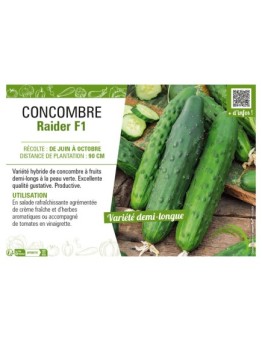 CONCOMBRE RAIDER F1