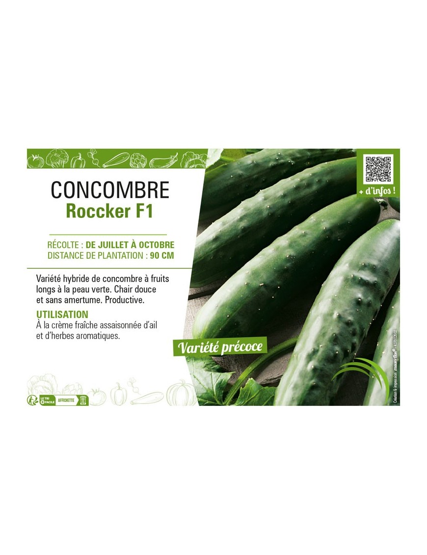 CONCOMBRE ROCCKER F1