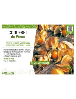 COQUERET DU PÉROU