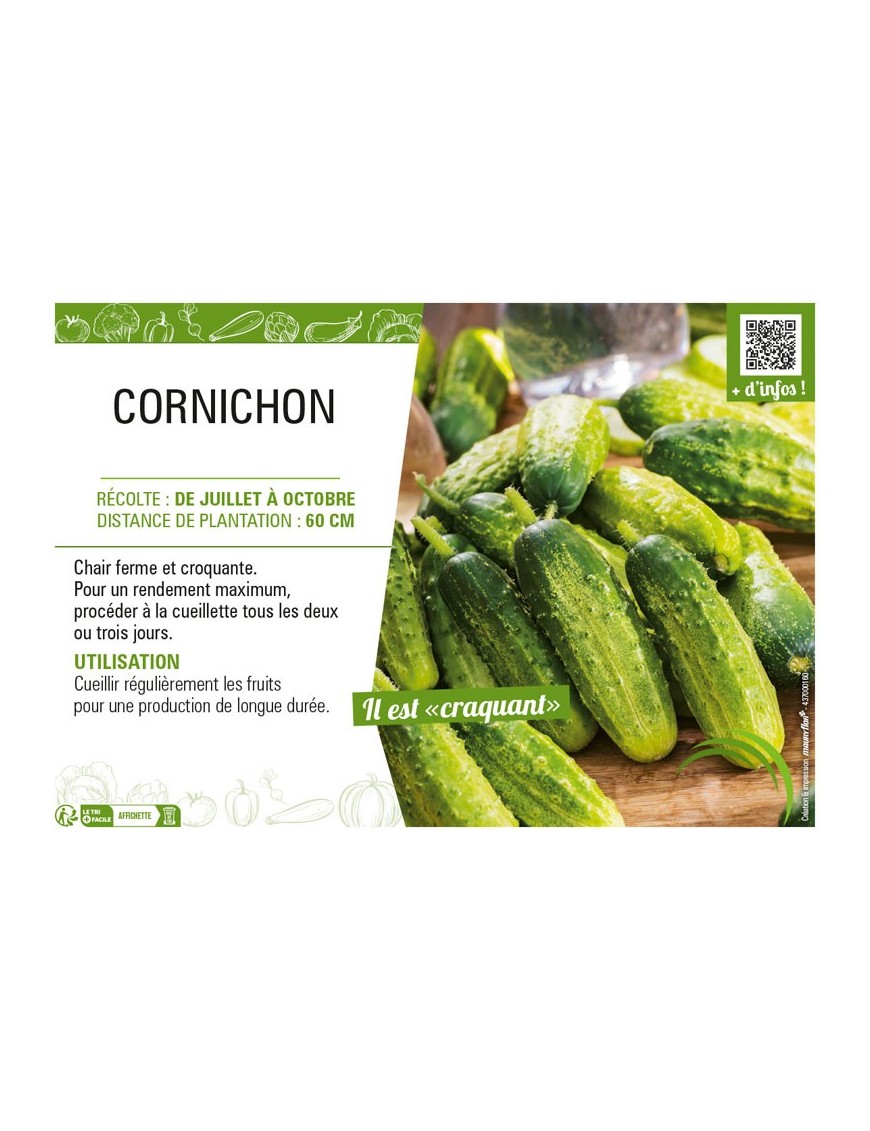 CORNICHON