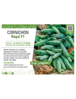 CORNICHON REGAL F1