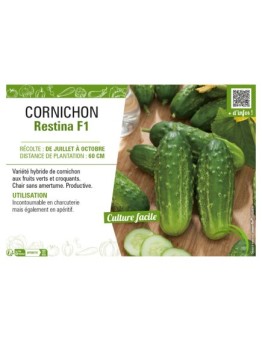 CORNICHON RESTINA F1