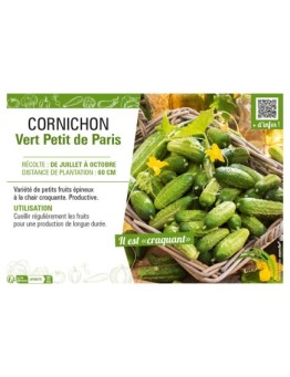 CORNICHON VERT PETIT DE PARIS