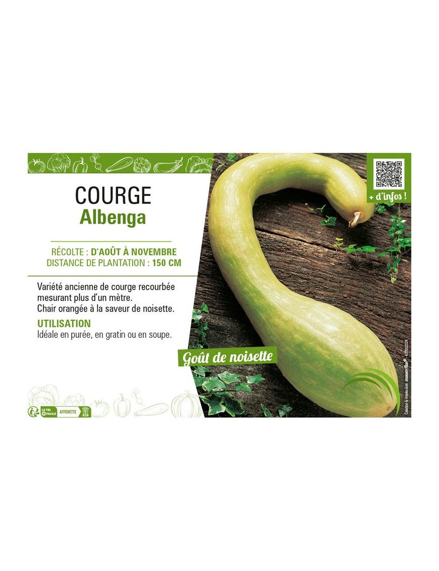 COURGE ALBENGA