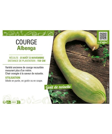 COURGE ALBENGA