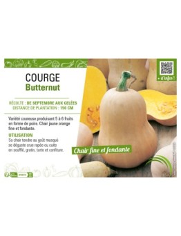 COURGE BUTTERNUT