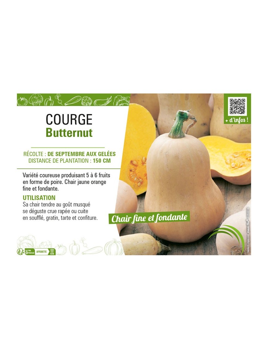 COURGE BUTTERNUT