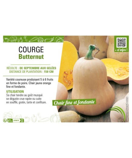 COURGE BUTTERNUT