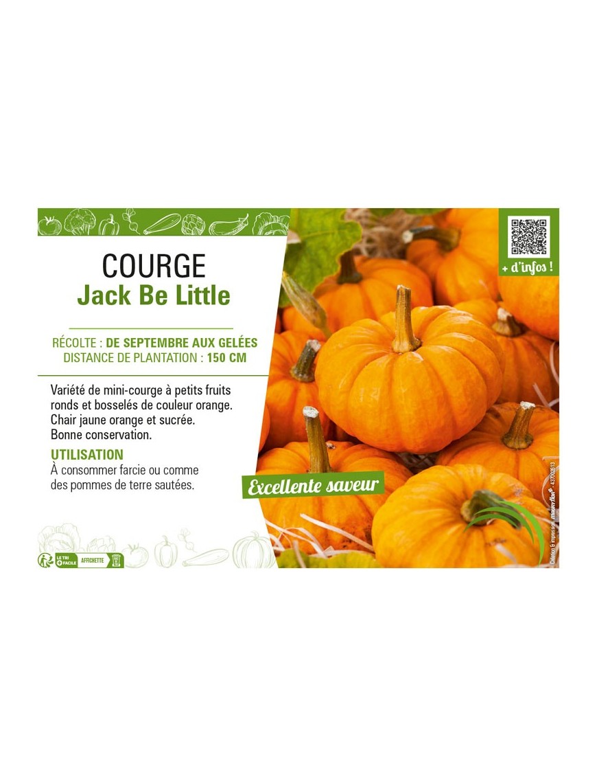 COURGE JACK BE LITTLE