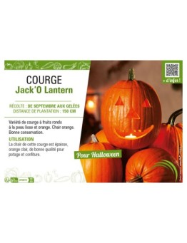 COURGE JACK'O LANTERN