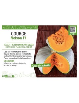 COURGE NELSON F1