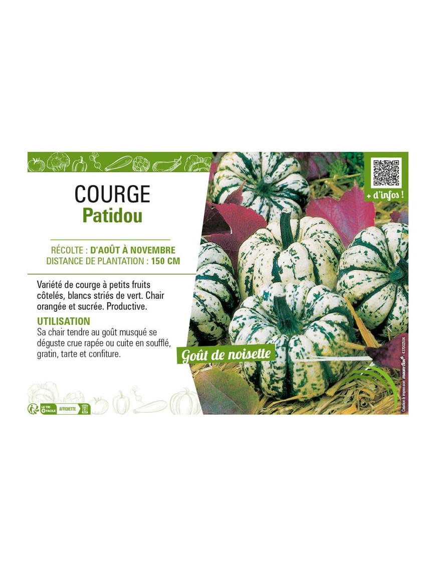 COURGE PATIDOU