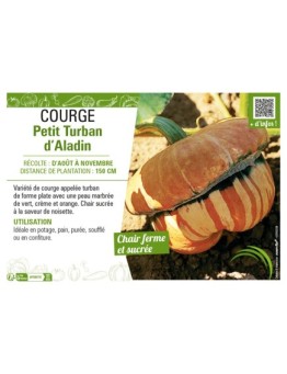 COURGE PETIT TURBAN D'ALADIN
