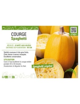 COURGE SPAGHETTI