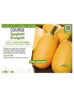 COURGE SPAGHETTI ORANGETTI