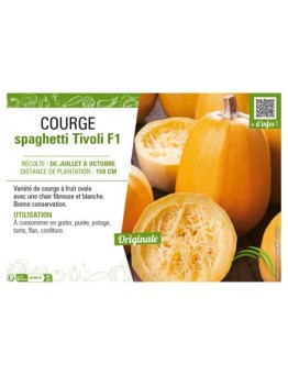 COURGE SPAGHETTI TIVOLI F1