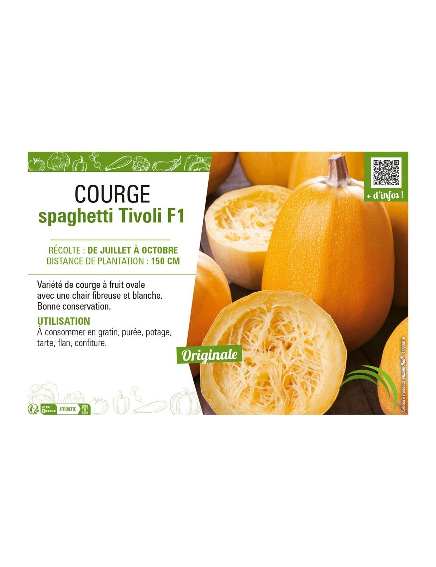 COURGE SPAGHETTI TIVOLI F1