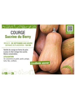 COURGE SUCRINE DU BERRY