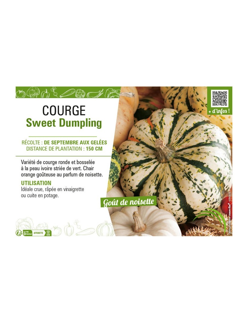 COURGE SWEET DUMPLING