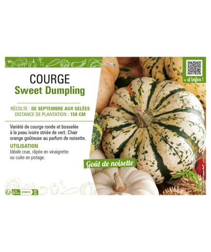 COURGE SWEET DUMPLING