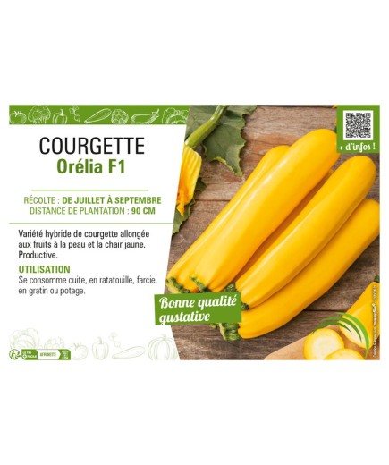 COURGETTE (JAUNE) ORÉLIA F1
