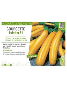 COURGETTE (JAUNE) SEBRING F1