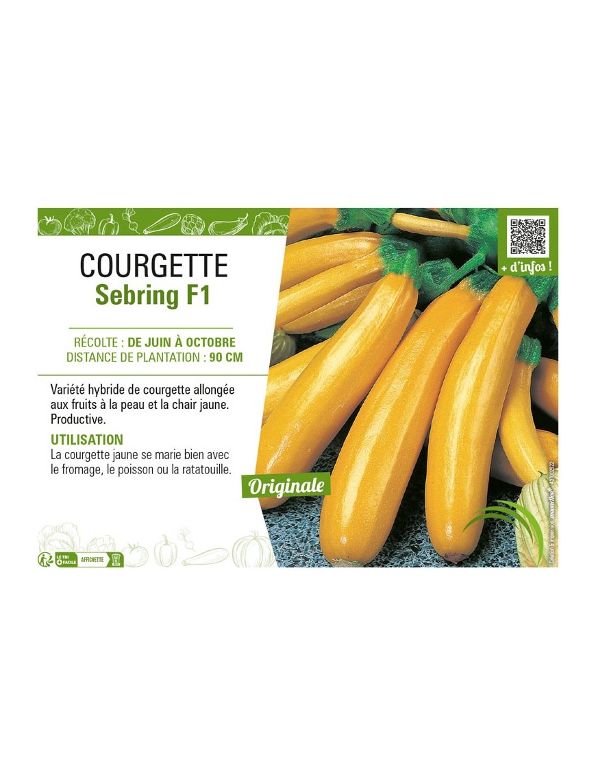 COURGETTE (JAUNE) SEBRING F1