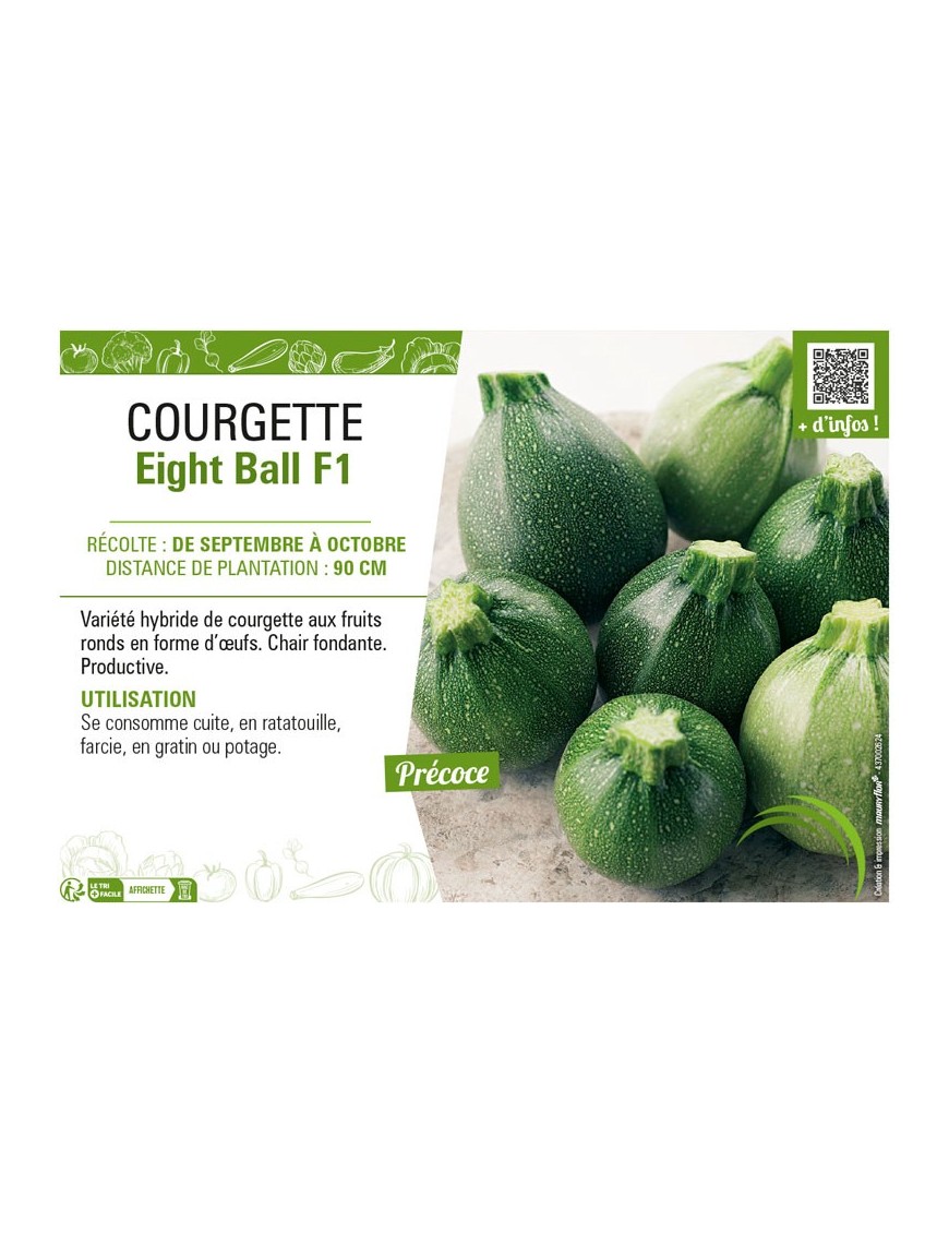 COURGETTE (RONDE) EIGHT BALL F1