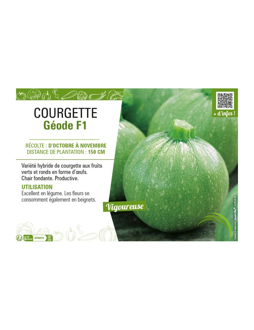 COURGETTE (RONDE) GÉODE F1