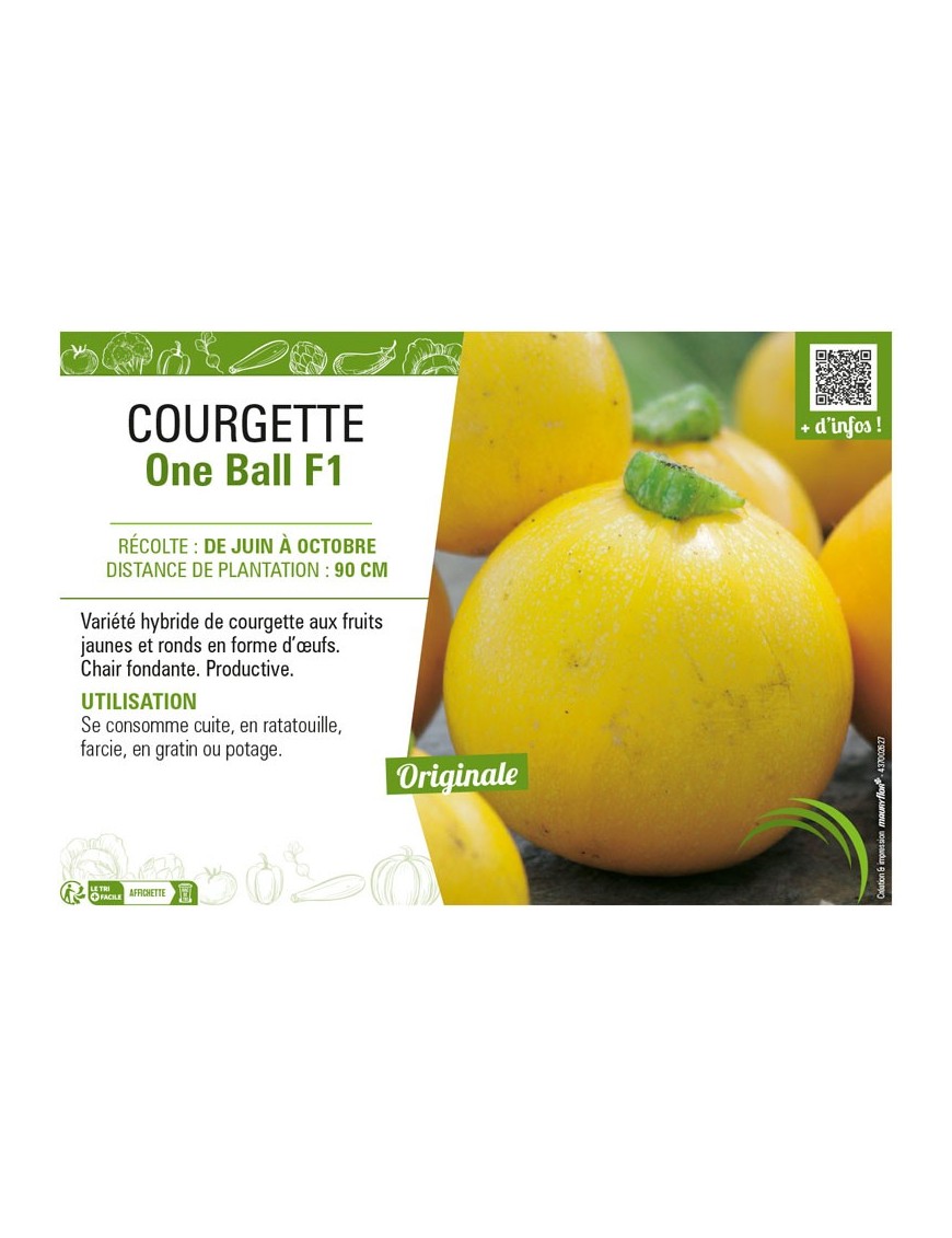 COURGETTE (RONDE) ONE BALL F1