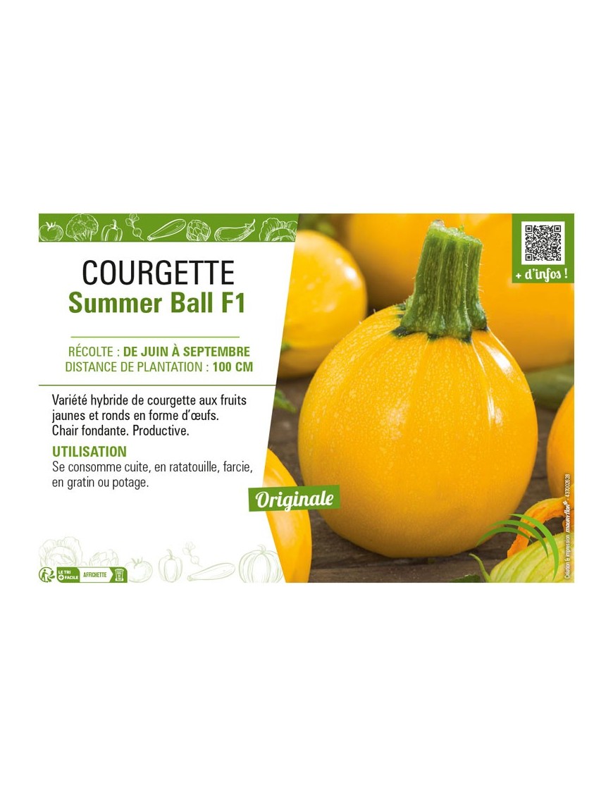 COURGETTE (RONDE) SUMMER BALL F1