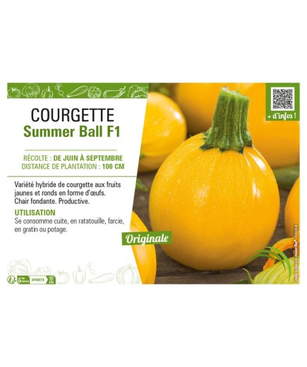 COURGETTE (RONDE) SUMMER BALL F1