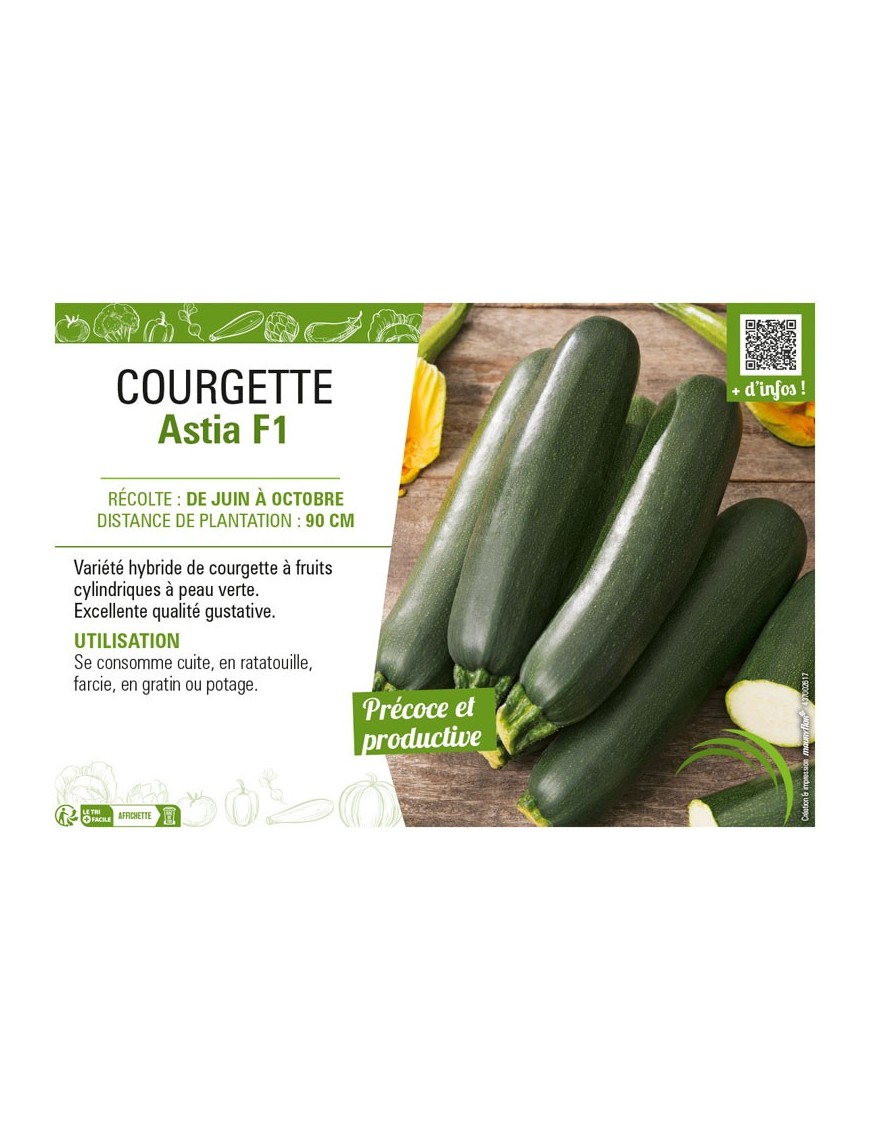COURGETTE ASTIA F1