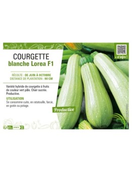 COURGETTE BLANCHE LOREA F1