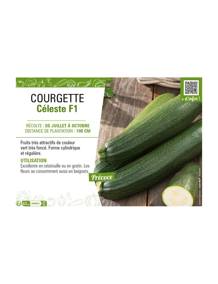 COURGETTE CÉLESTE F1