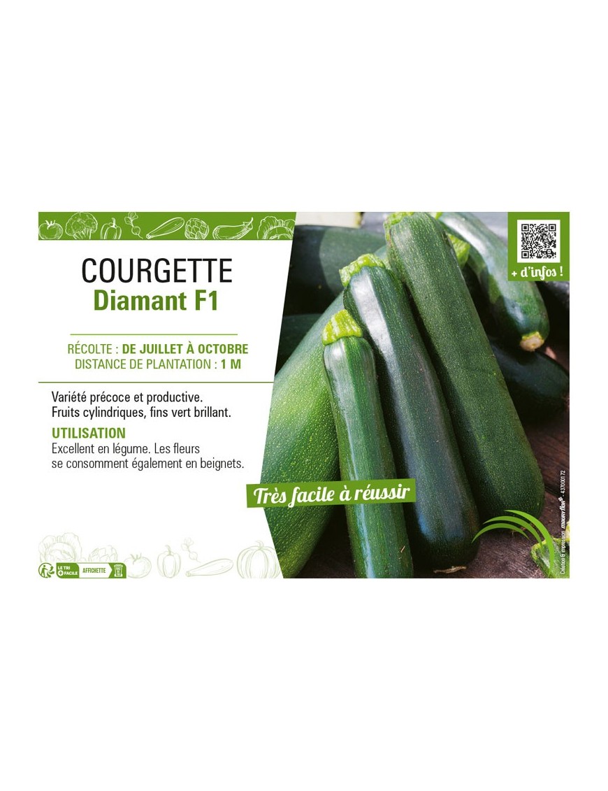 COURGETTE DIAMANT F1