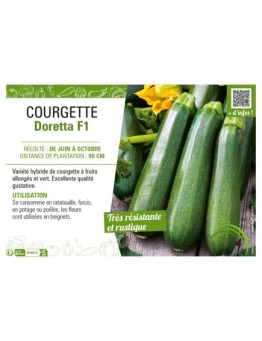 COURGETTE DORETTA F1