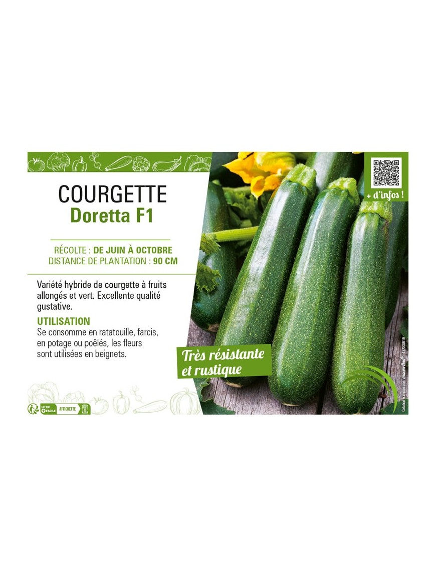 COURGETTE DORETTA F1