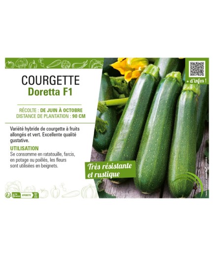 COURGETTE DORETTA F1