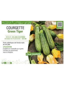 COURGETTE GREEN TIGER