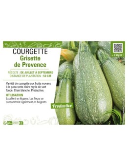 COURGETTE GRISETTE DE PROVENCE